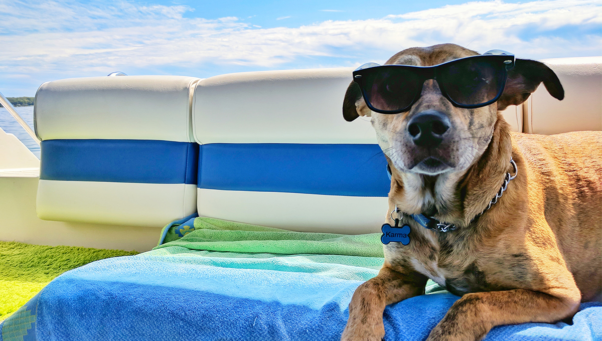pet-vacation.jpeg