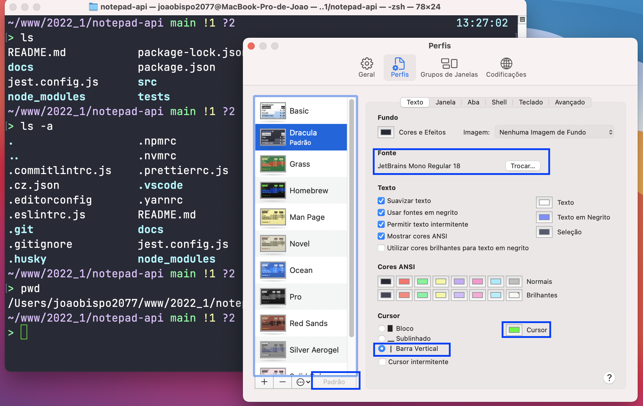 Menu de perfis do terminal com quadrados azuis ao redor das configurações citadas.