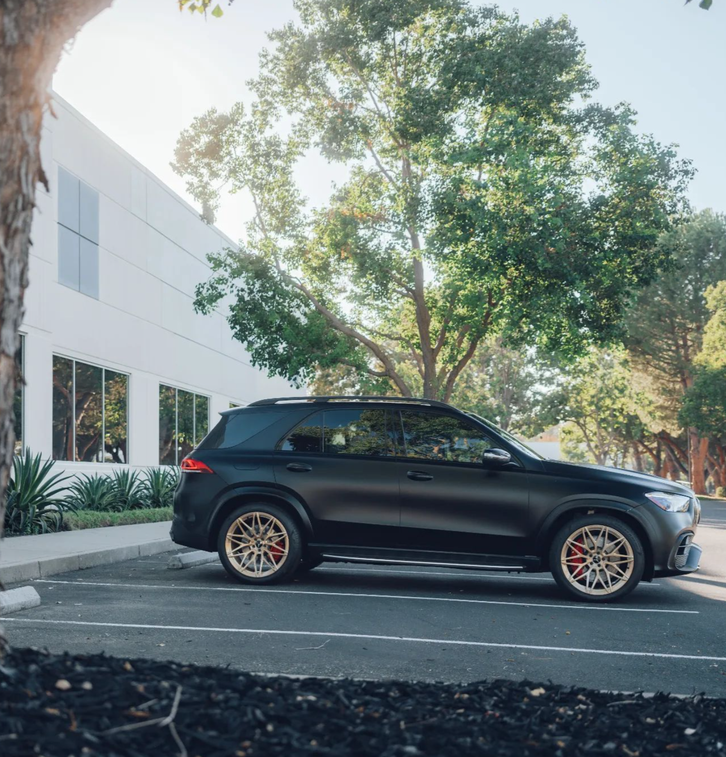 Screen Shot 2022-11-28 at 3.48.25 PM.png