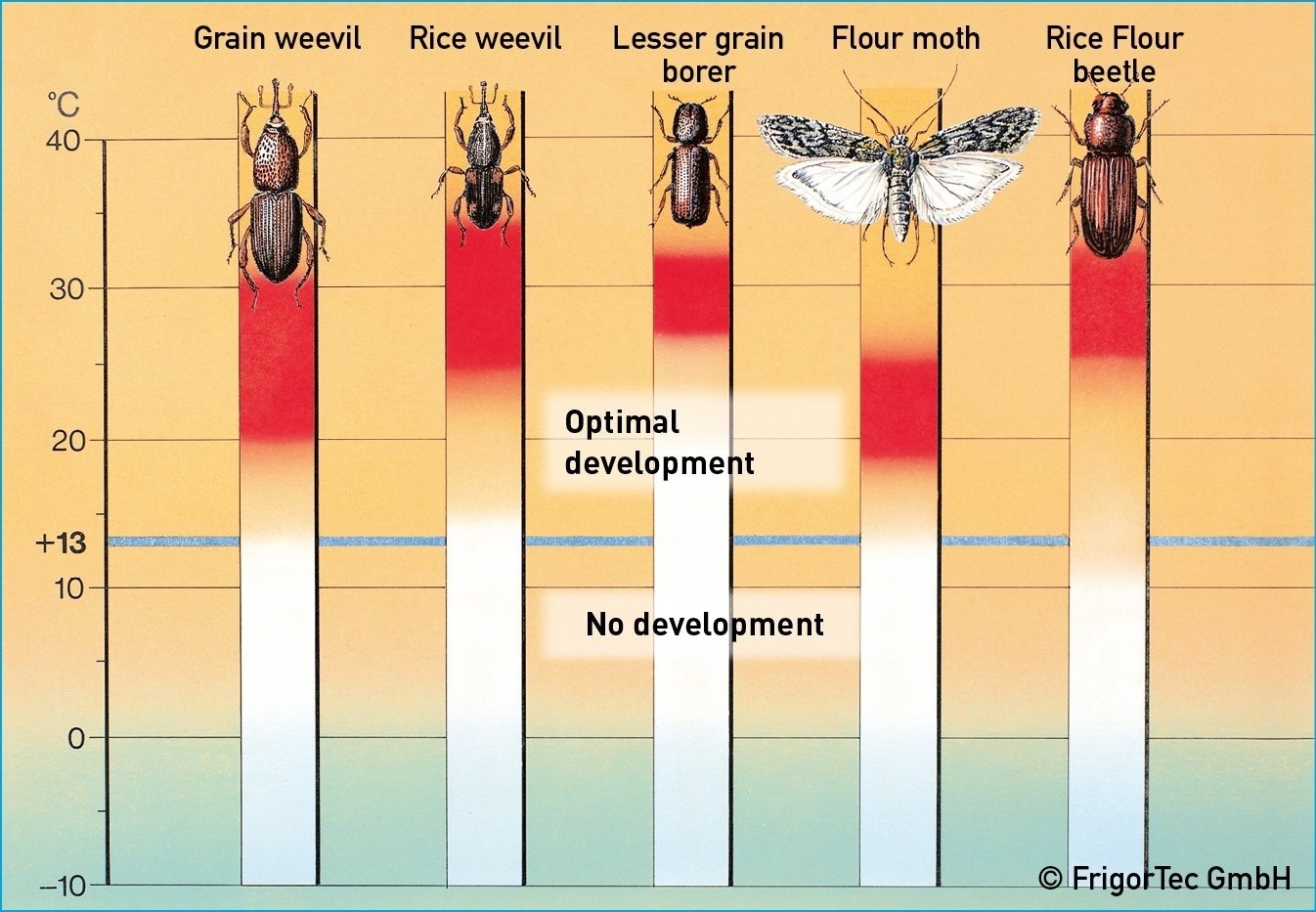 3_generation_insect_species.jpg__1346x933_q85_subsampling-2.jpg