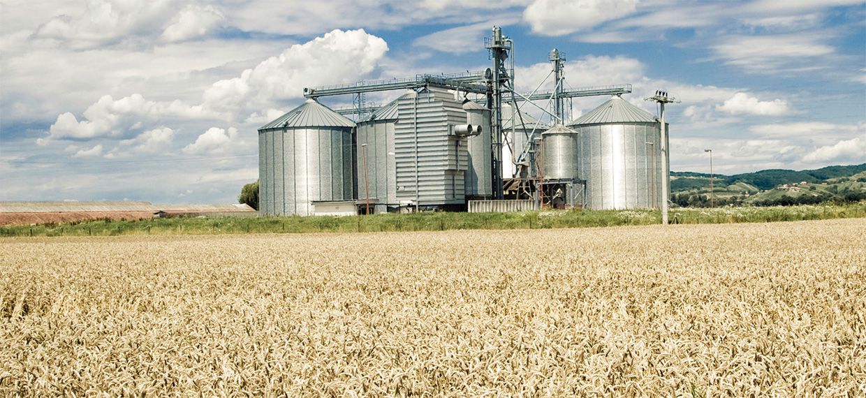 Commercial grain chilling  for the best grain quality