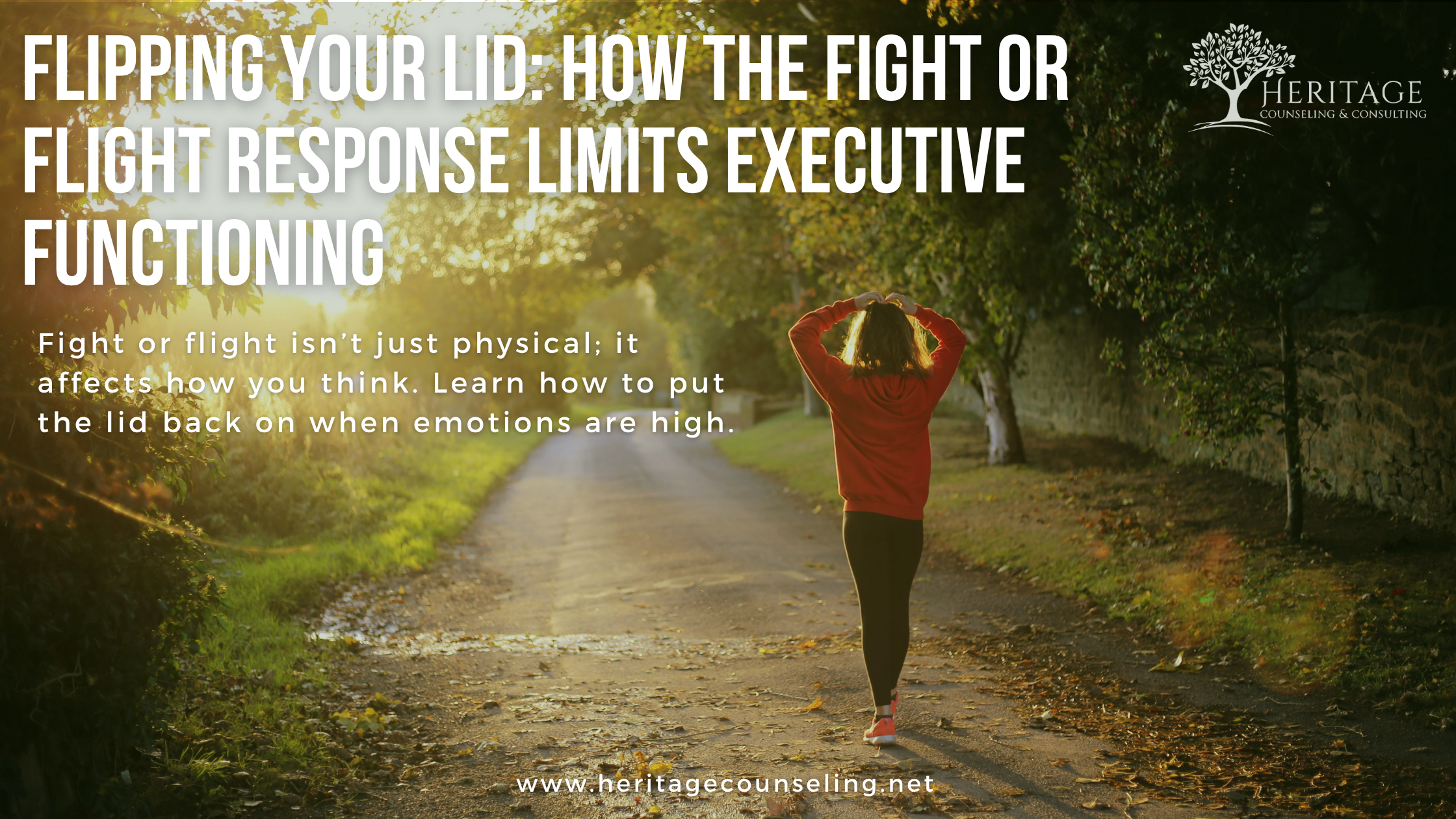 Flipping Your Lid: How the Fight or Flight Response Limits Executive Functioning