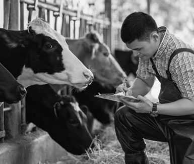 Farming