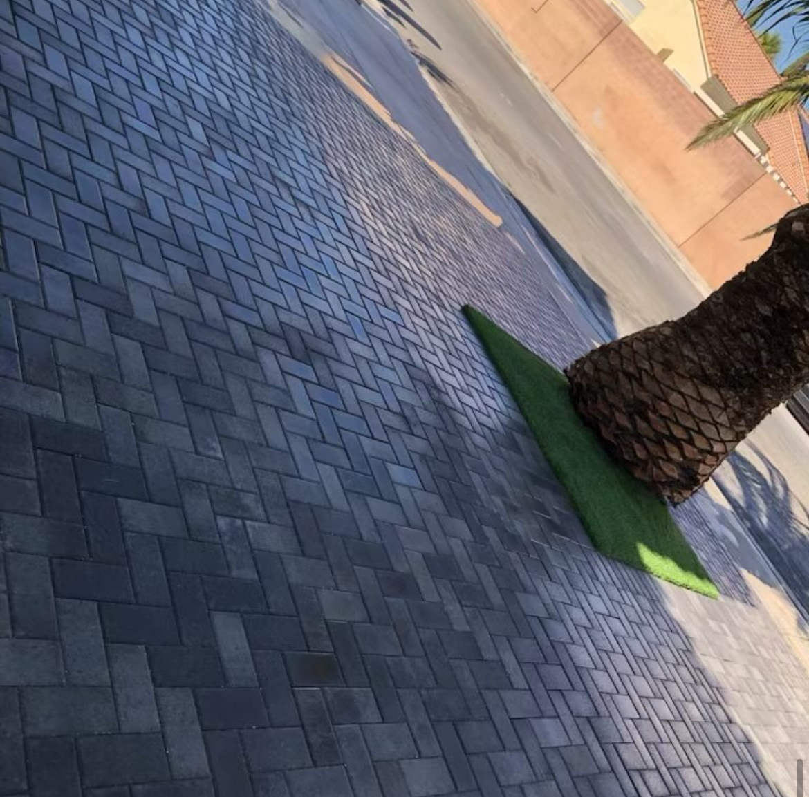 Gateway Landscaping — Las Vegas landscaping project