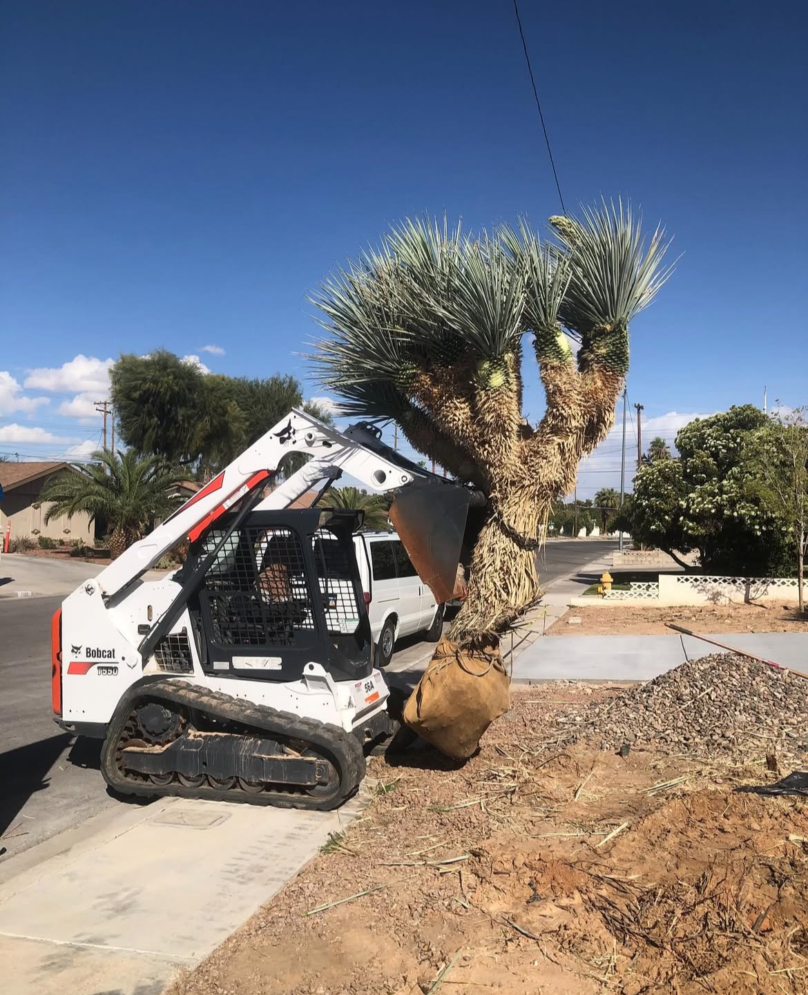 Gateway Landscaping — Las Vegas landscaping project