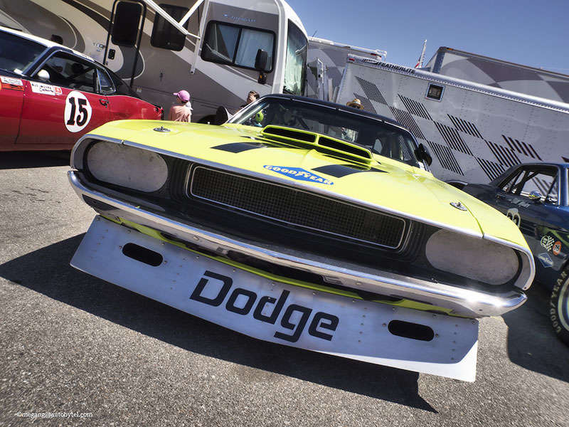 Dodge Challenger T/A ・  Photo by Megan Green