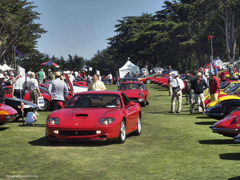 2014 Concorso Italiano ・  Photo by Megan Green