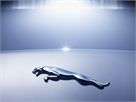 fallback