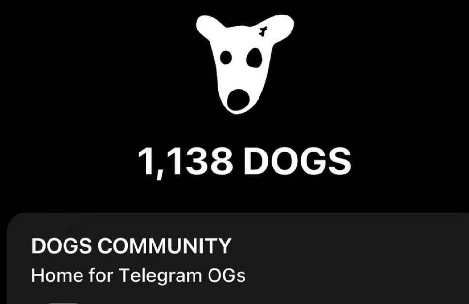 DOGS AIRDROP UPDATE