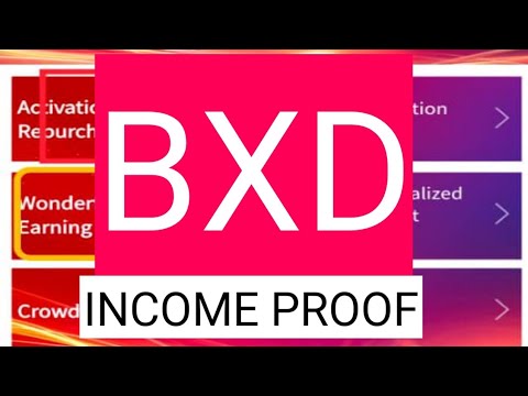 Baixiaodan CF Income Proof