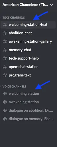 image is a screen shot pointing at discord channels, Welcome video and Welcome text with blue arrows