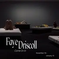 V3_Faye Driscoll Instagram .jpg
