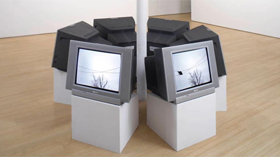 Nina Katchadourian