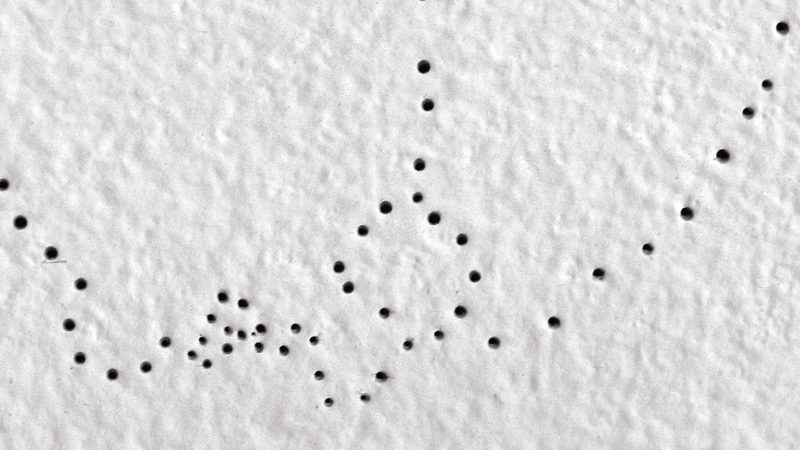 TBA:07 ON SITE: The Clandestine Periphery
