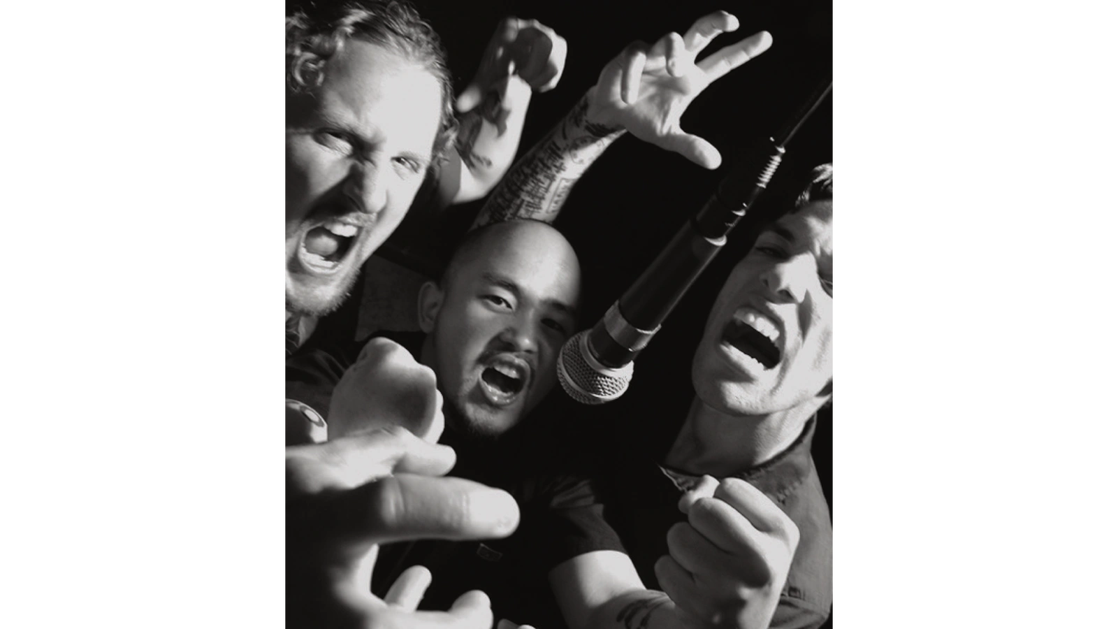 The Suicide Kings