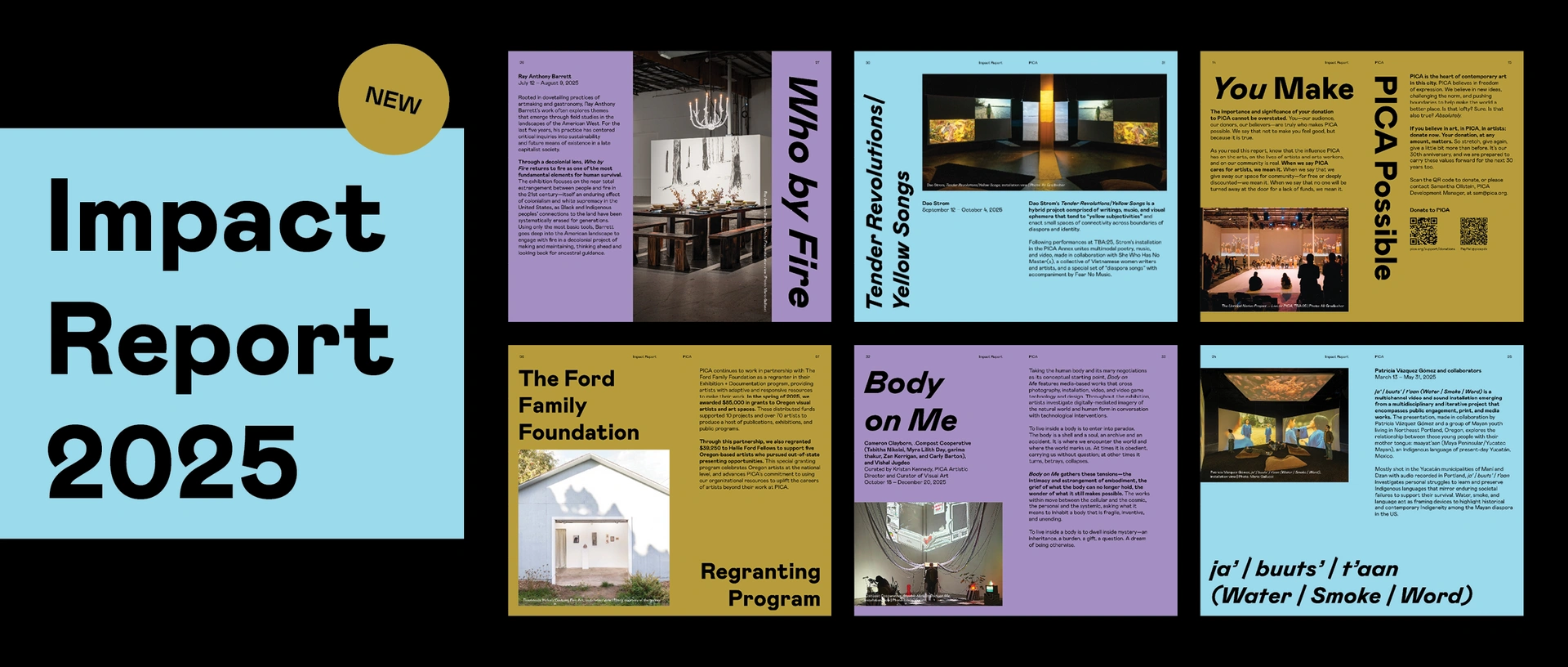 PICA's 2025 Impact Report
