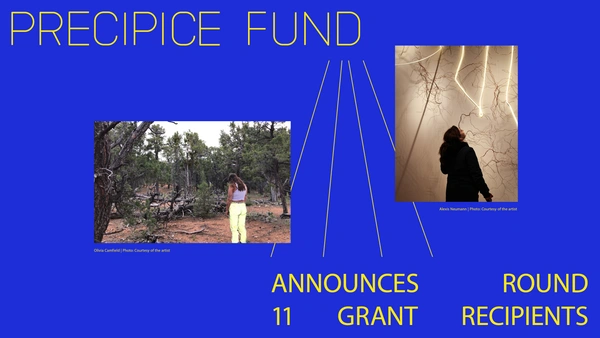 BIG NEWS! PICA Announces Precipice Fund Round 11 Grant Recipients