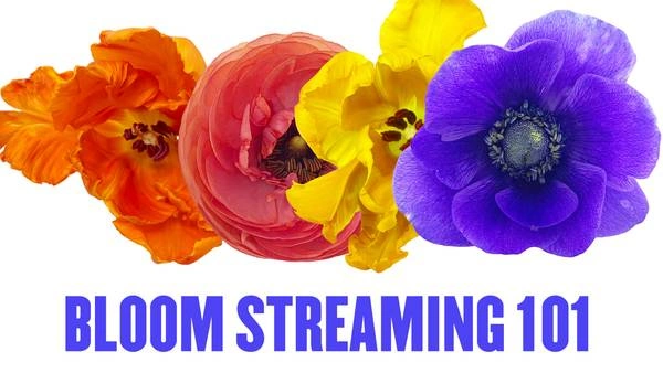 Bloom Streaming 101: Ways to Watch PICA's Upcoming Fundraising Event