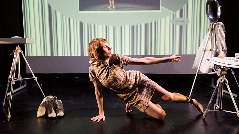 TBA:15 Michelle Ellsworth PREPARATION FOR THE OBSOLESCENCE OF TTHE Y CHROMOSOME
