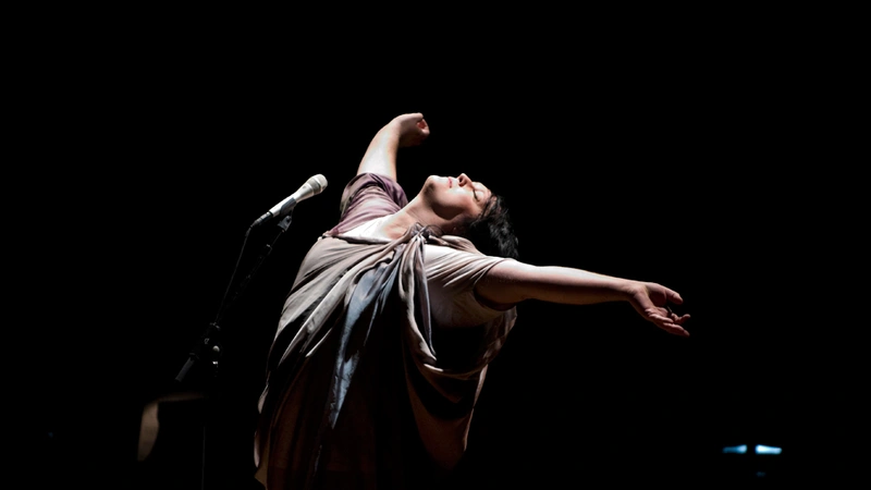 TBA:08 Antony and the Johnsons