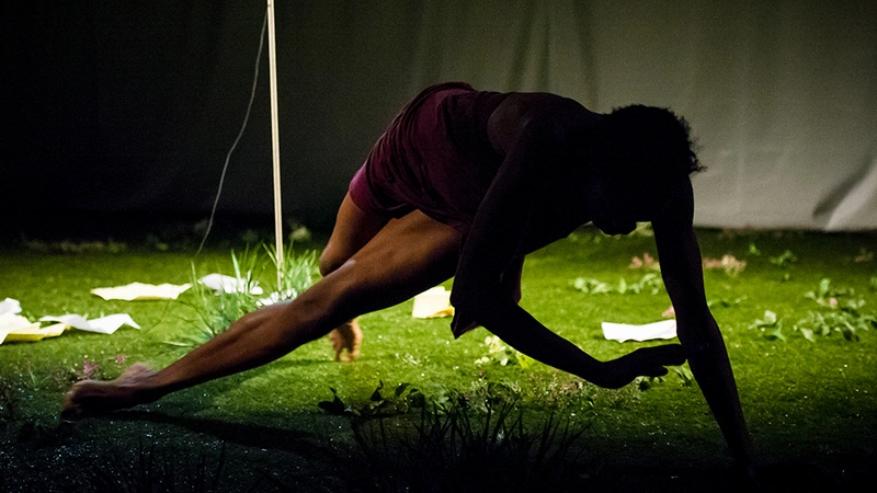 TBA:15 Okwui Okpokwasili BRONX GOTHIC