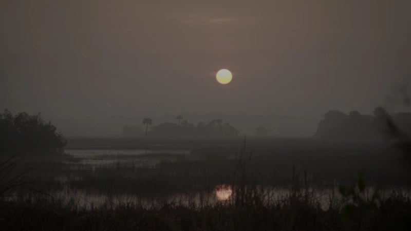 Dreams of Unknown Islands
