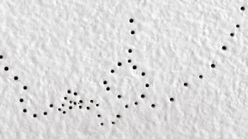 TBA:07 ON SITE: The Clandestine Periphery