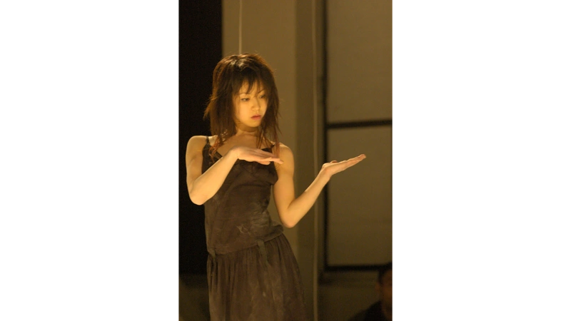 Yoko Higashino
