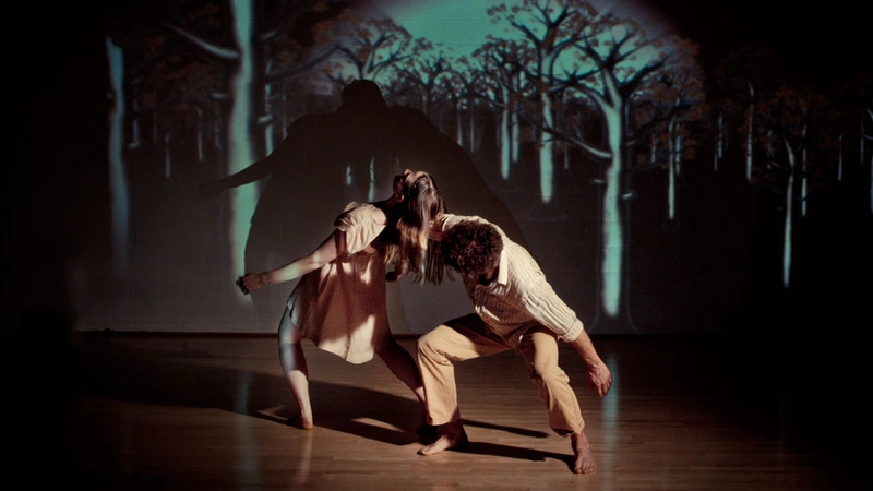 TBA:13 Suniti Dernovsek & David Stein / bobbevy THIS IS HOW WE DISAPPEAR