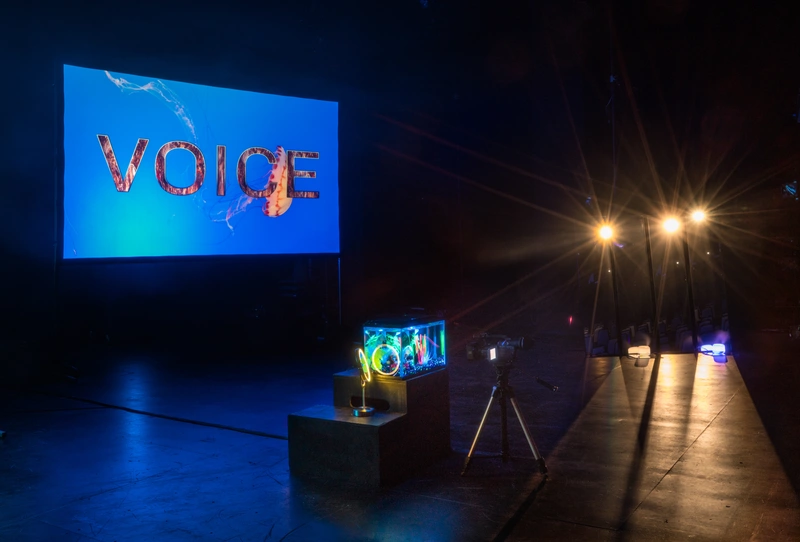TBA:17 Sara Magenheimer I COLLECT NEGLECTED VENOMS