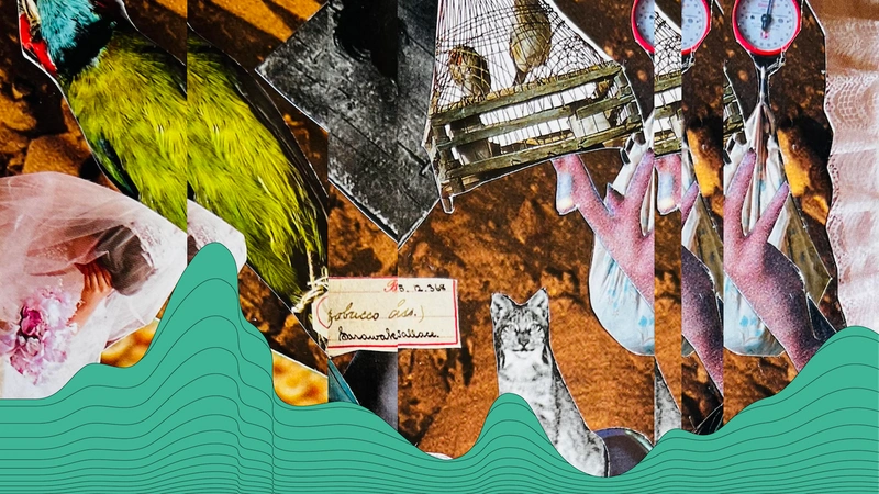 Gentle Movement & Collage Workshop by dee bustos