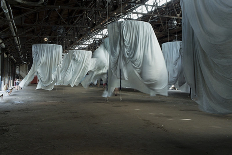 TBA:18 Ann Hamilton HABITUS