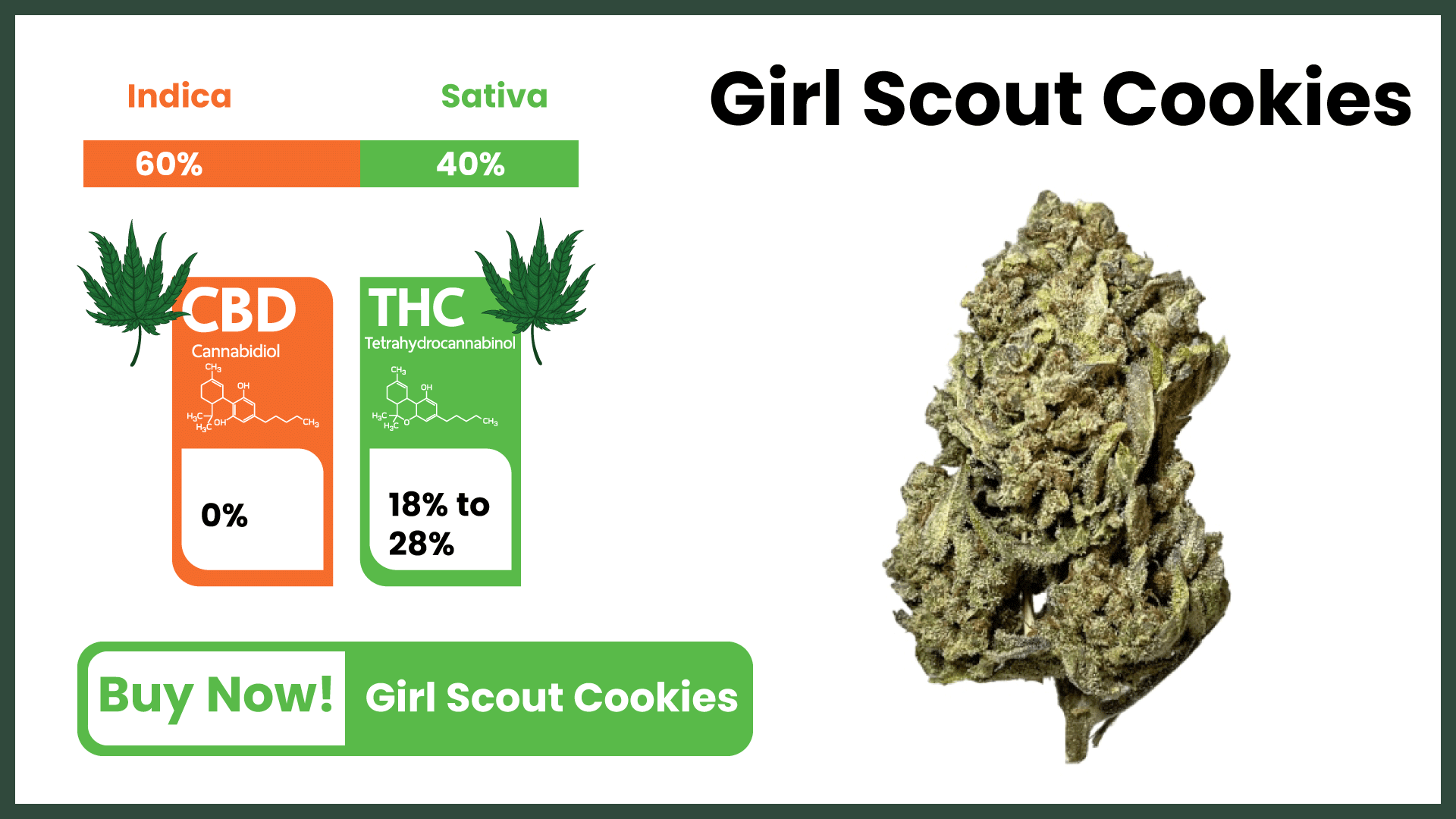 Girl-Scout-Cookies-best-weed-strain.png