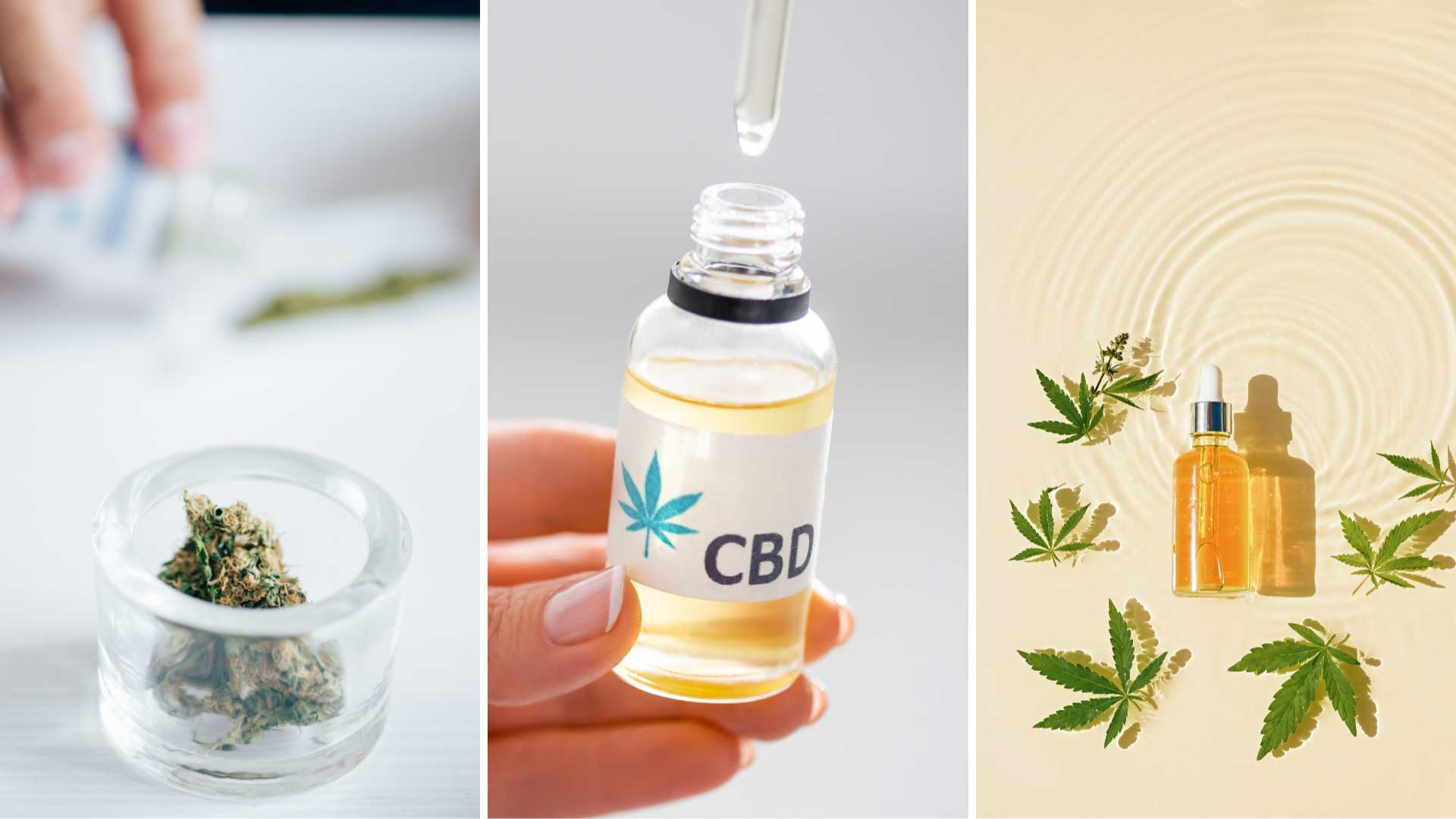 THC,-CBD,-CBN (1).jpg