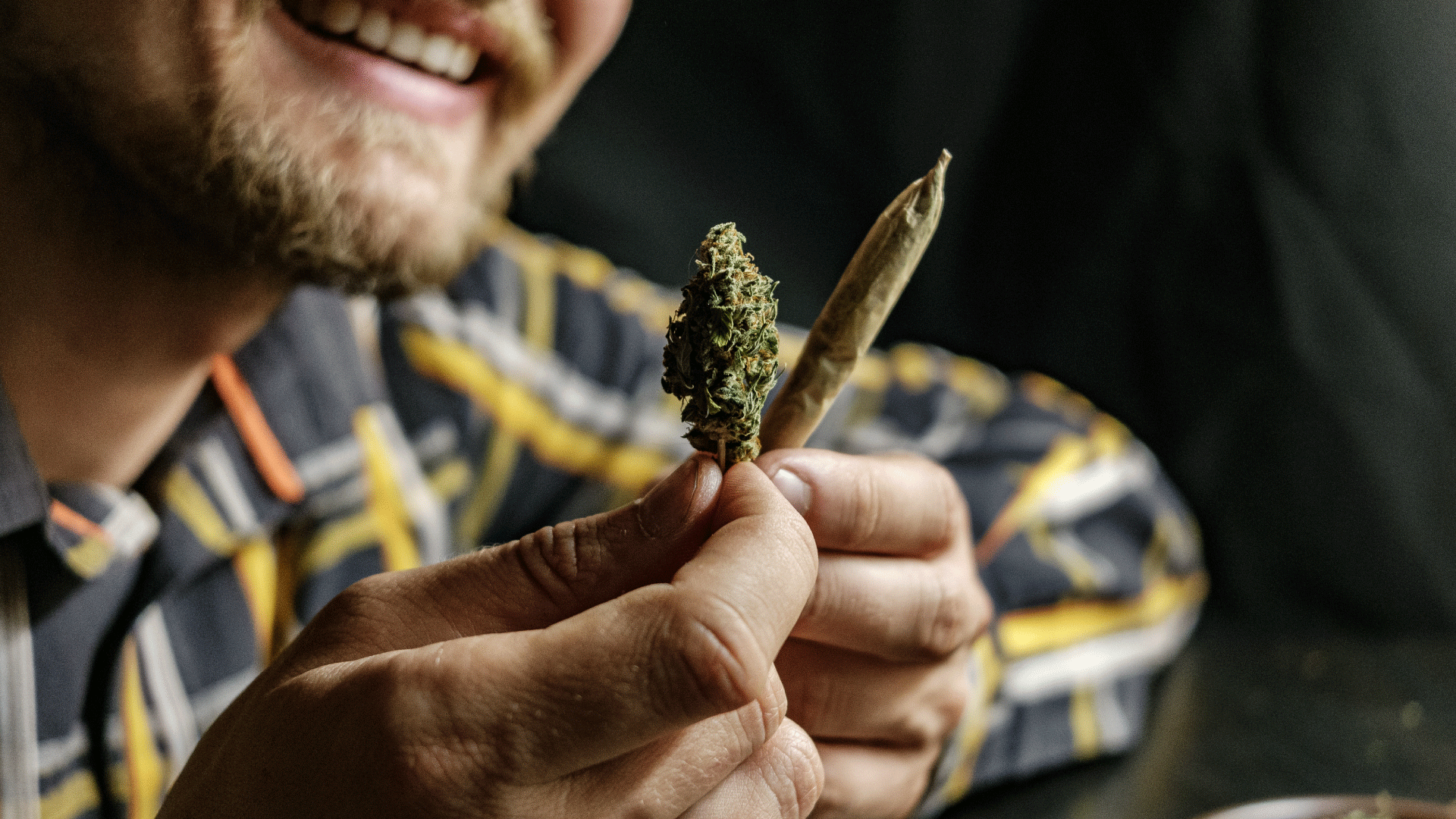 choose-the-right-weed-strain-for-focus.png