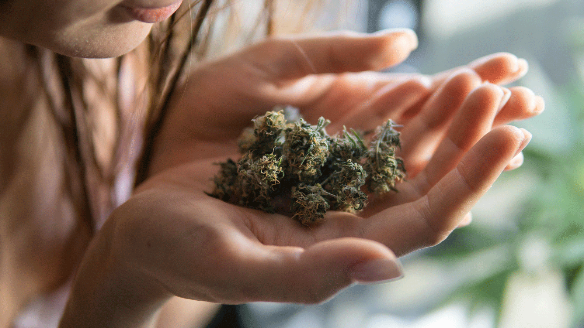 best-weed-strains-for-focus.png