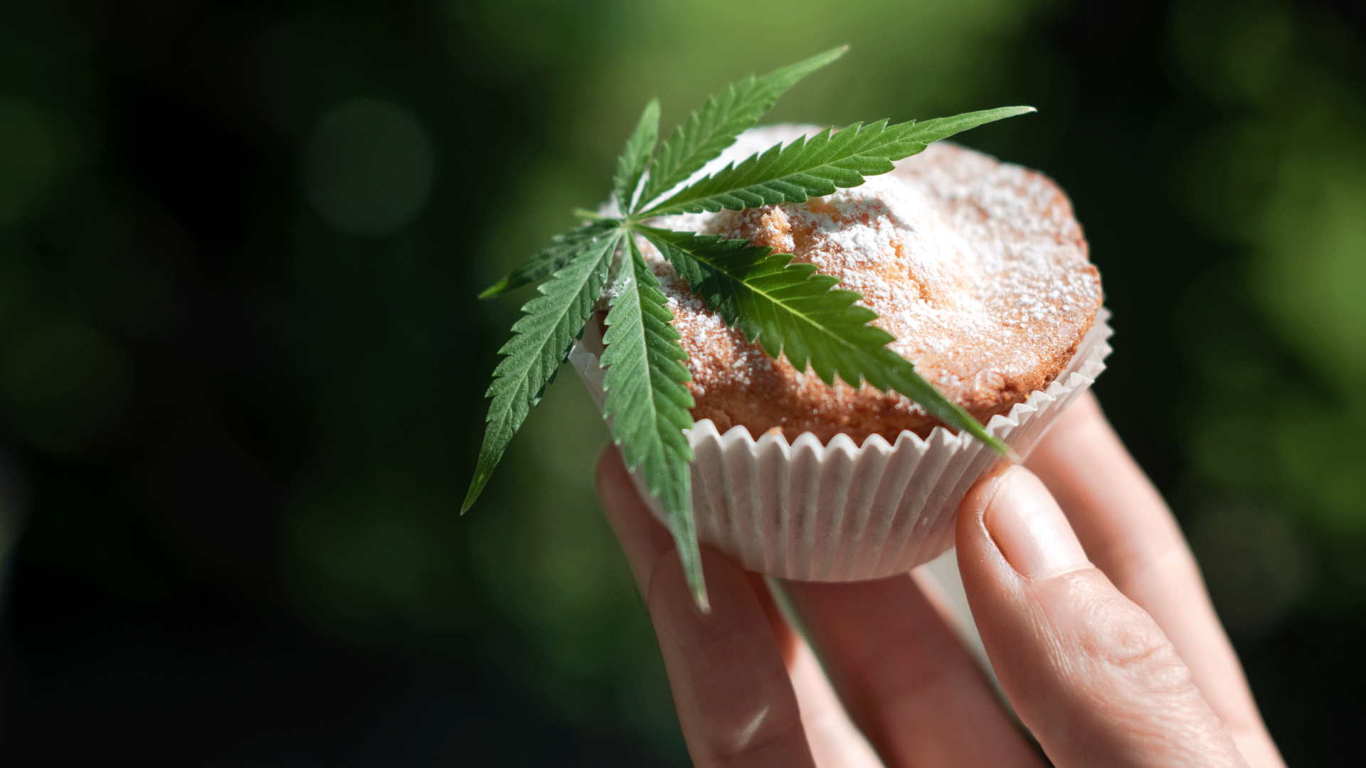 weed-edibles-Pink-Gushers-Strain-Weed-Strain.png