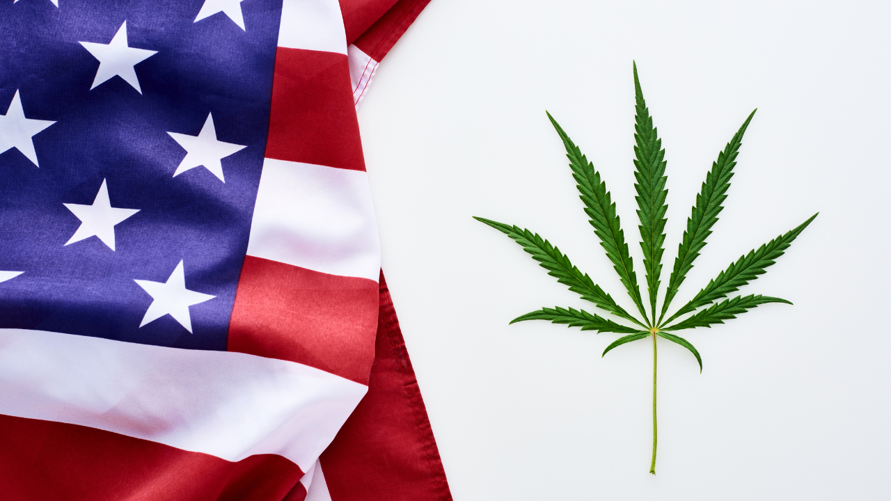 weed illegal in New york.png