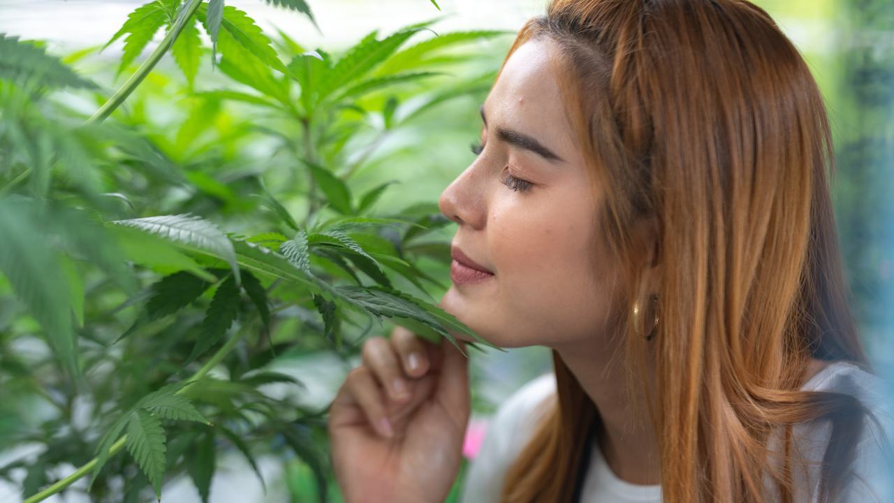weed and weightloss (1).png