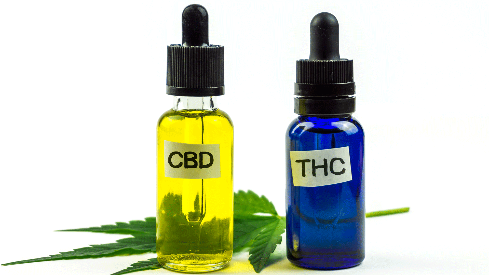 THC-VS.-CBD.png