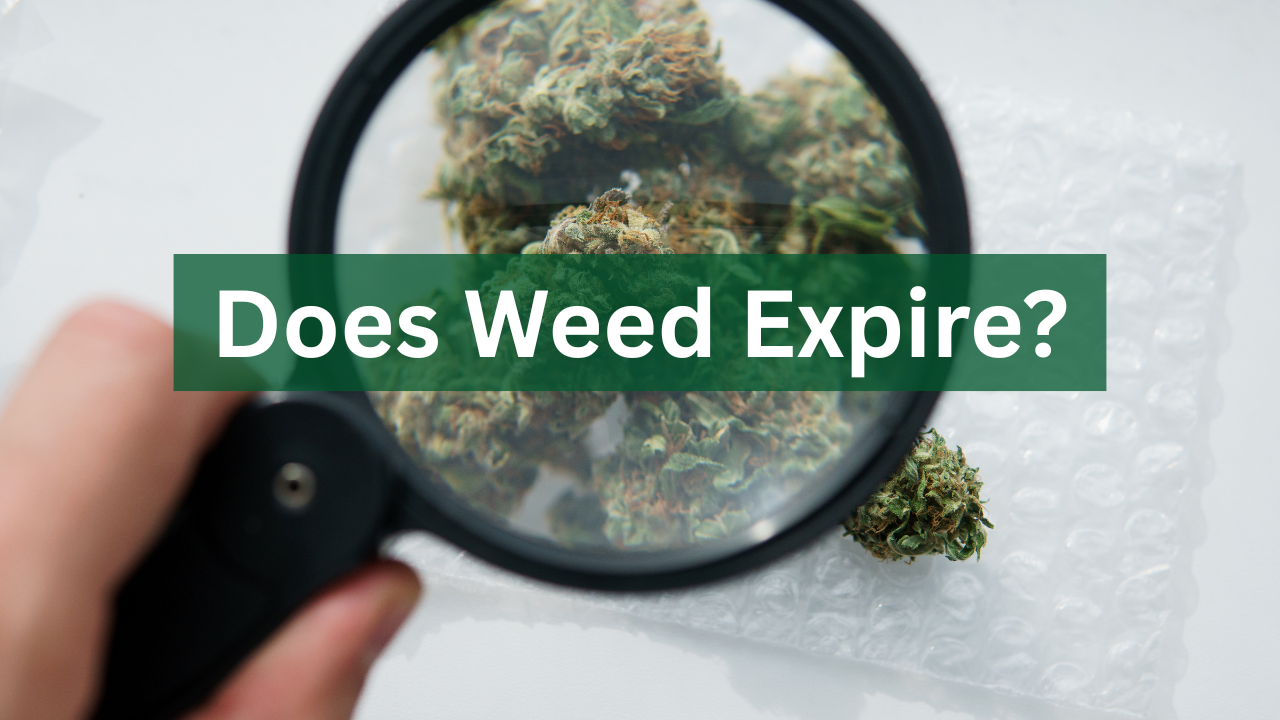 Weed Expire (1).png