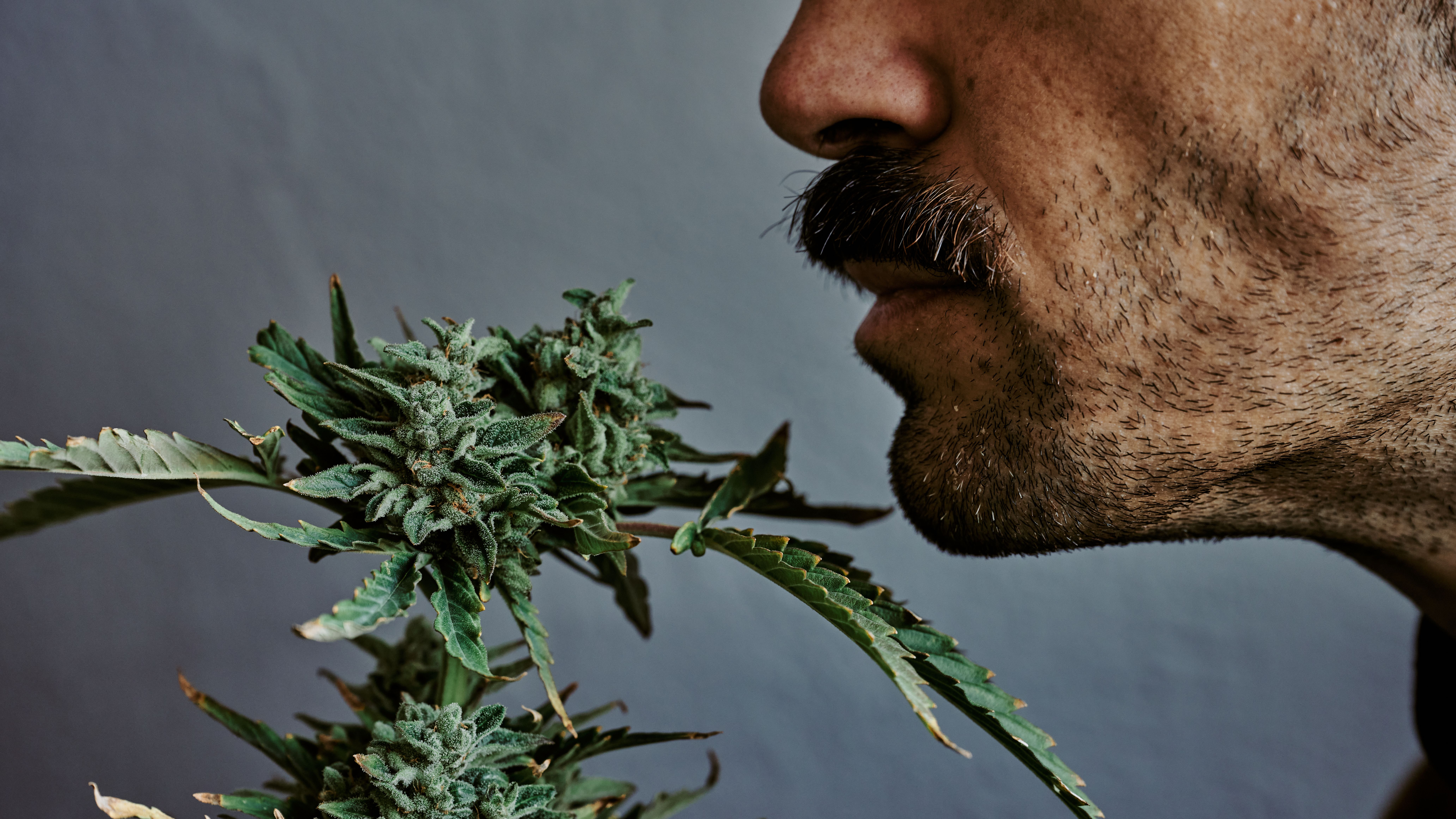 detail-shot-of-a-young-man-smelling-smoking-and-b-2024-09-21-21-23-12-utc.jpg