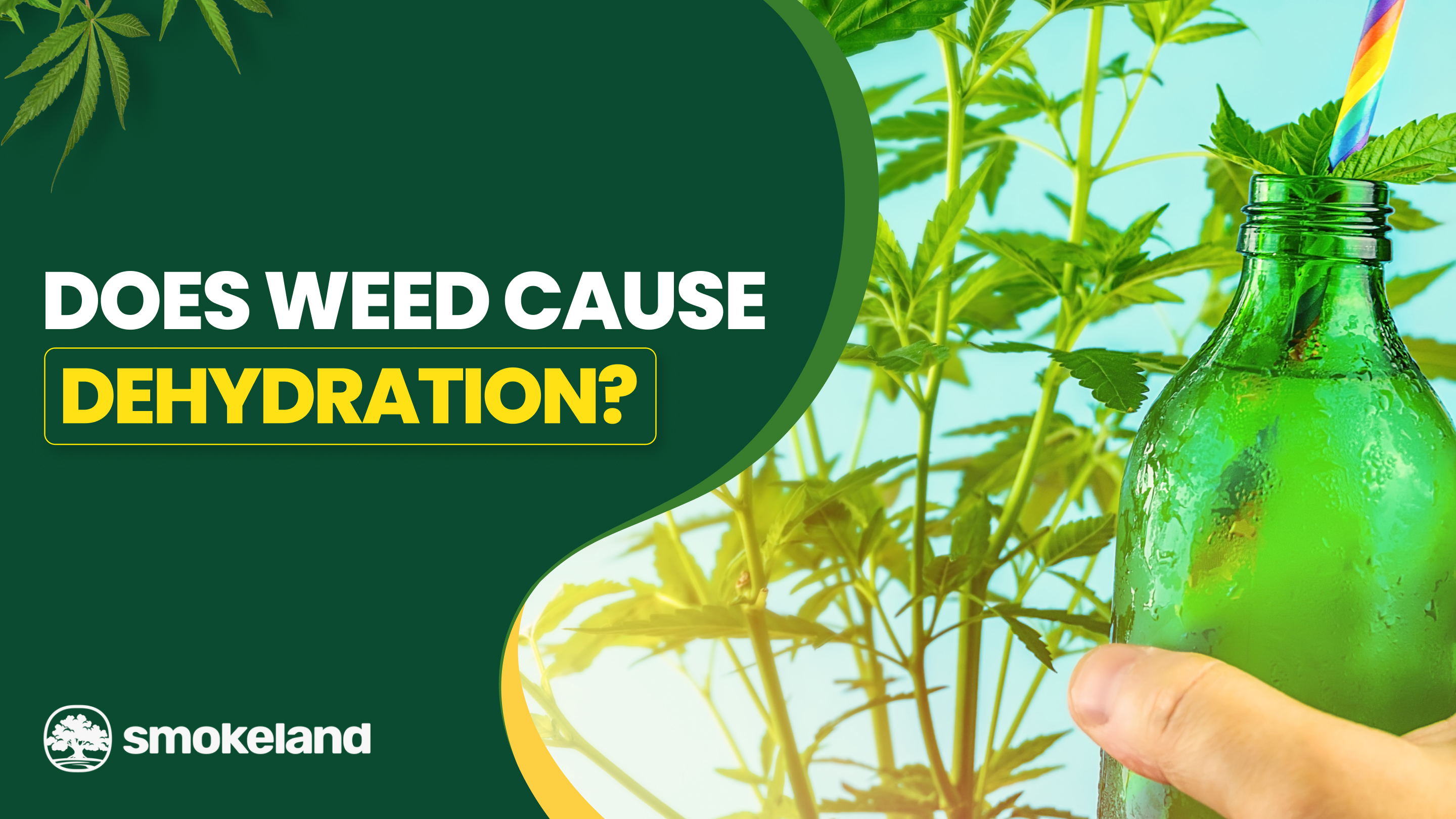 does cigarettes dehydrate you Does Smoking Weed Dehydrate You? Symptoms, Risks & Prevention