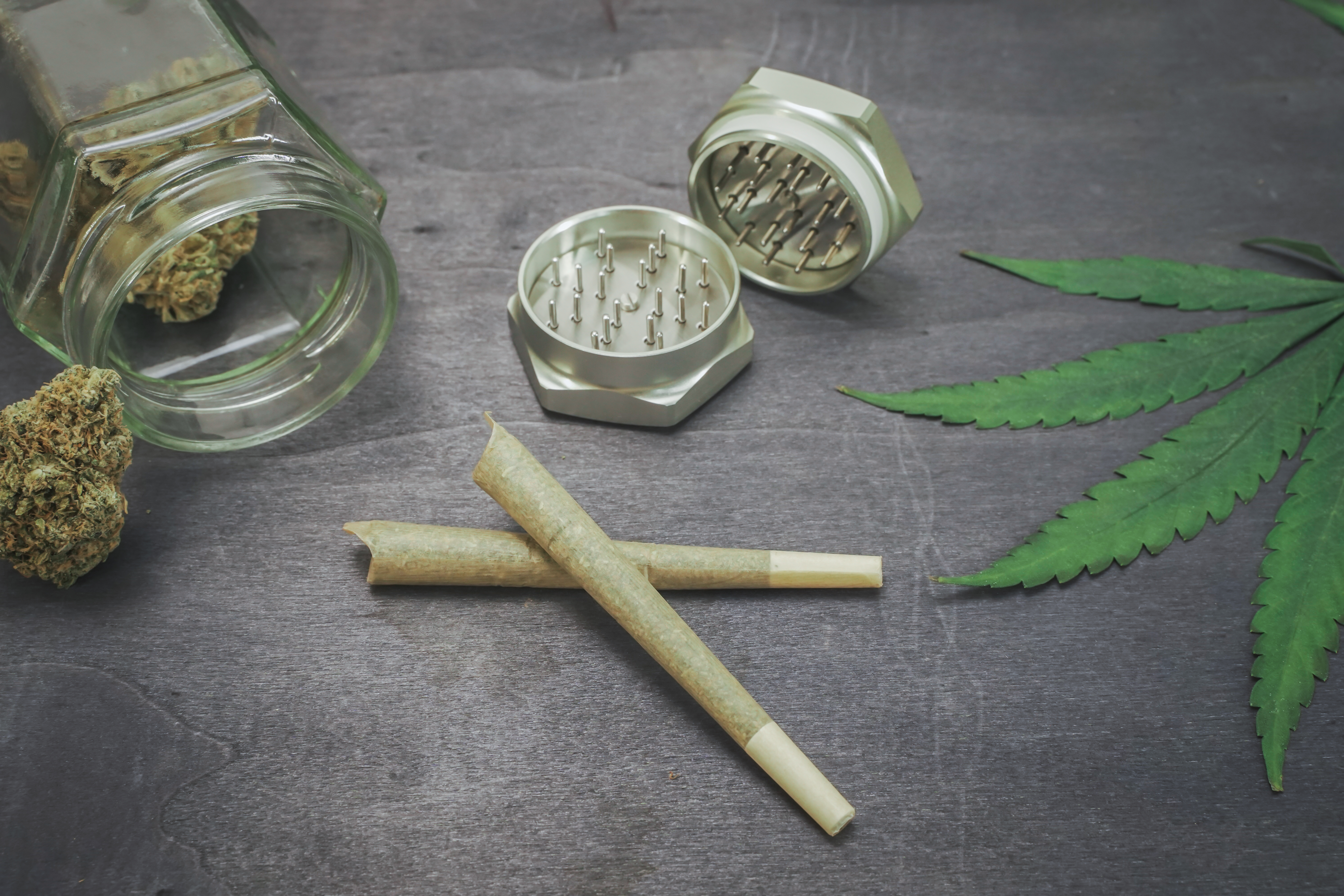 cbd-medical-marijuana-and-hemp-leaves-medical-can-2025-01-07-18-28-12-utc.jpg