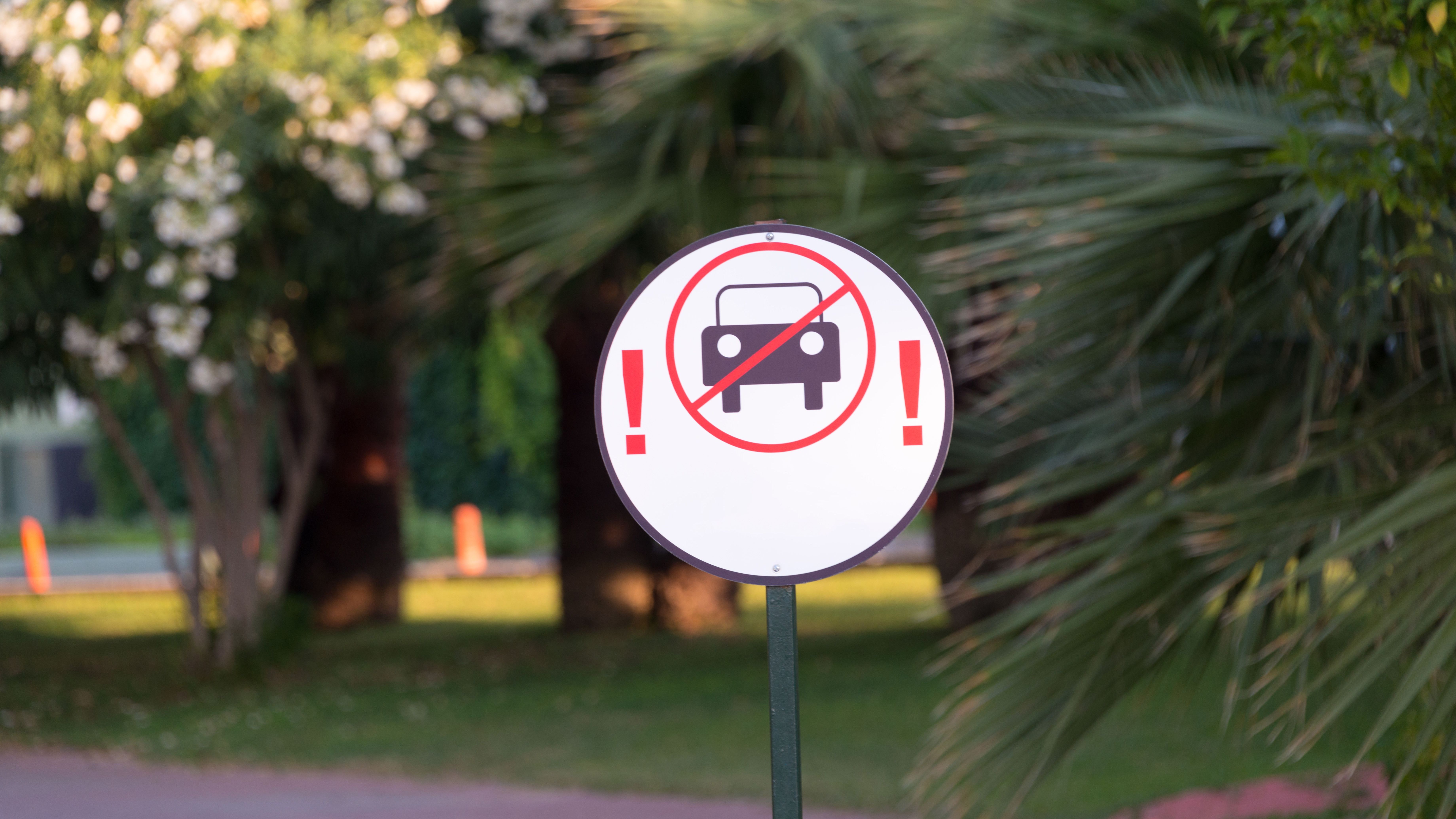 no-vehicle-red-road-sign-surrounded-by-trees-2025-02-09-20-05-14-utc.jpg