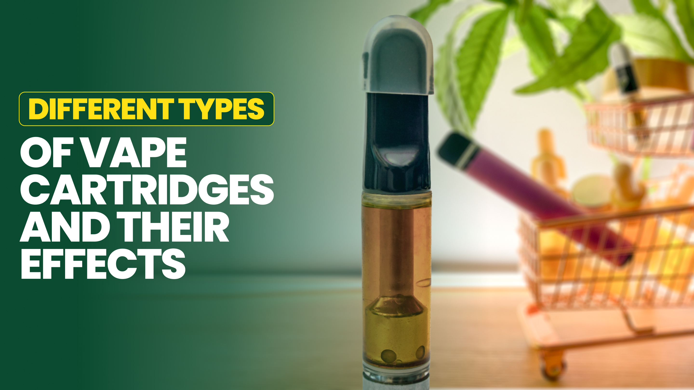types of vapes Vape 45 Hudson (@vape45_hudson) • Instagram photos and videos main image 0