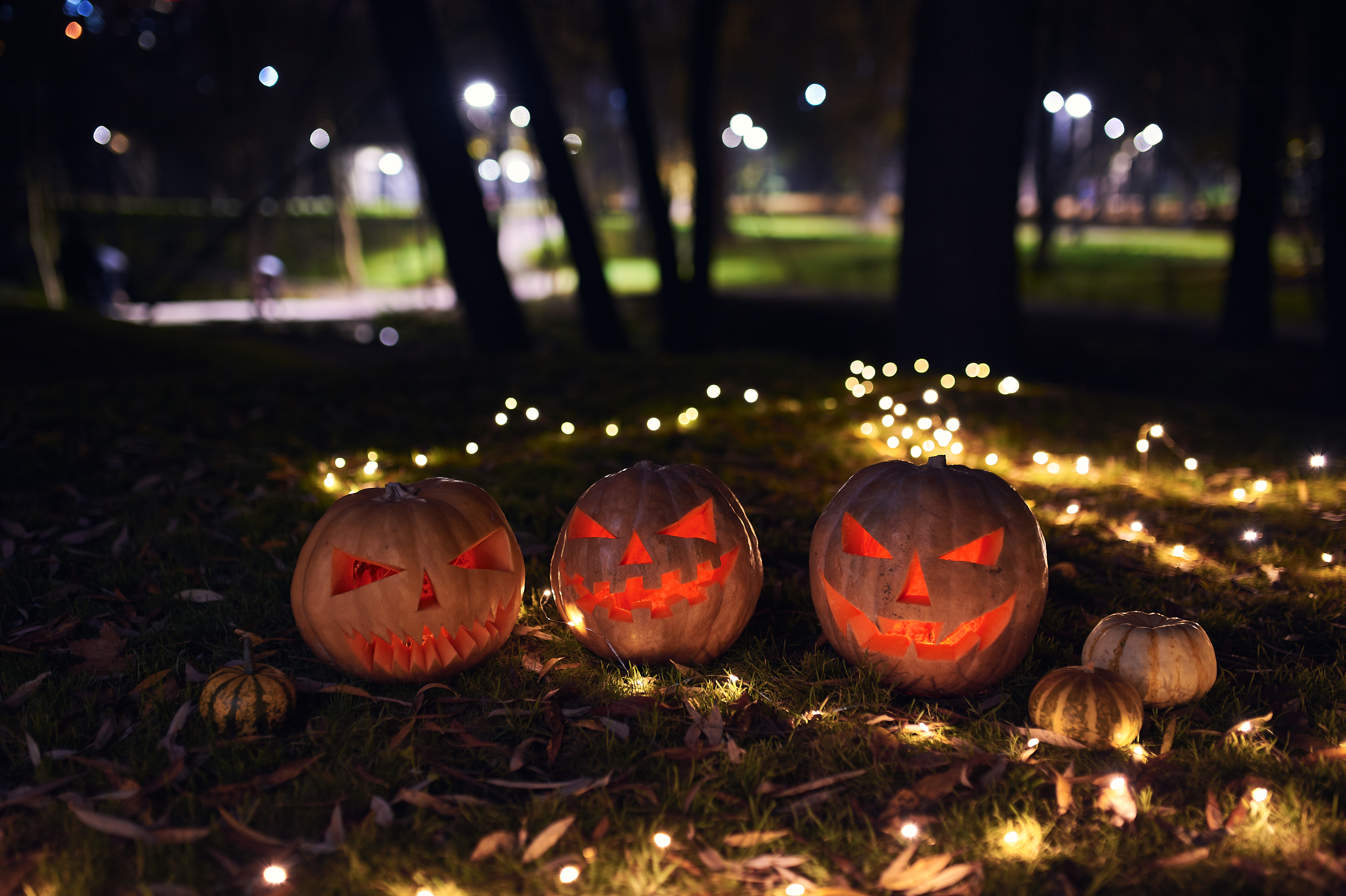 family-of-halloween-pumpkins-in-the-autumn-park-2025-03-17-12-32-25-utc.jpg