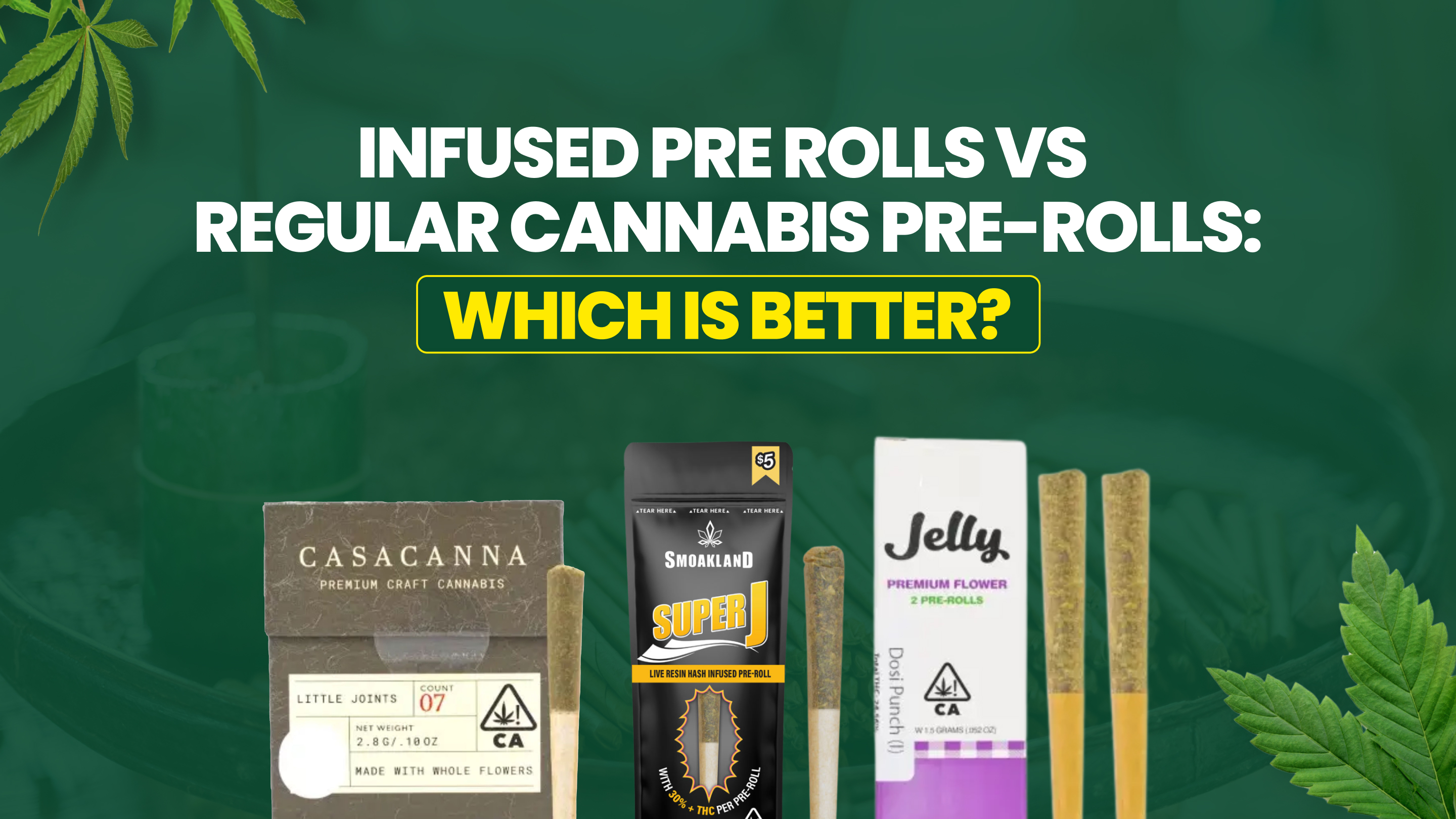 Infused Pre Rolls vs Regular Cannabis Pre-Rolls: Which Is Better?