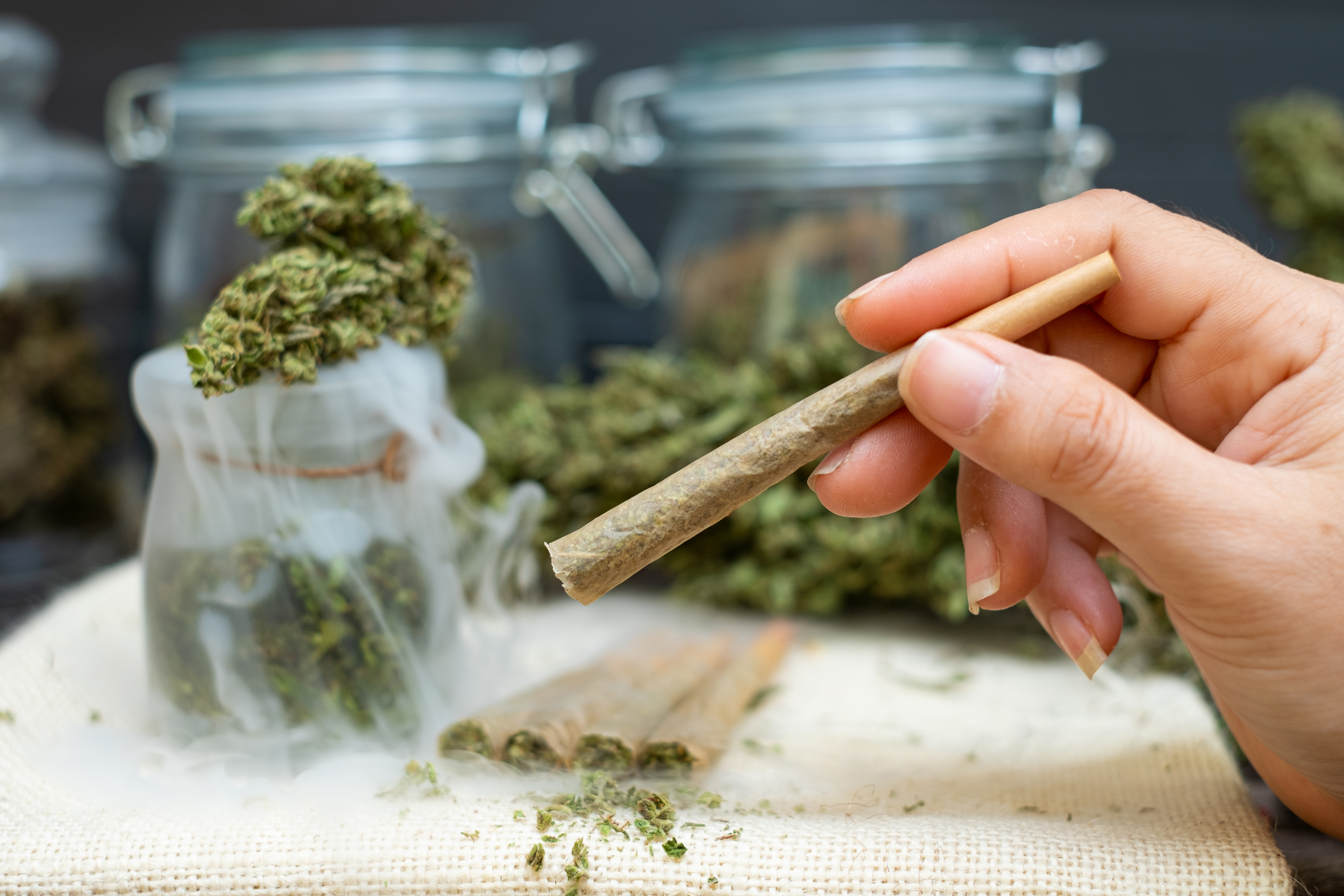 woman-hand-holding-pre-rolled-cannabis-flower.jpg