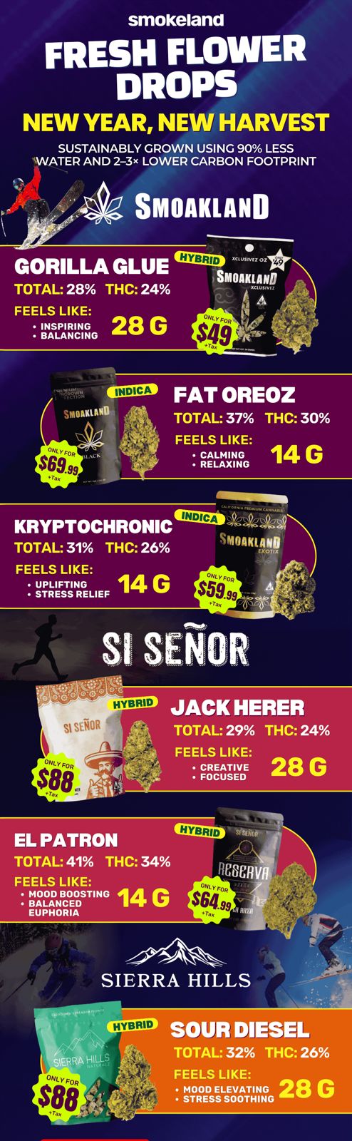 WhatsApp Image 2026-01-02 at 1.04.58 PM.jpeg